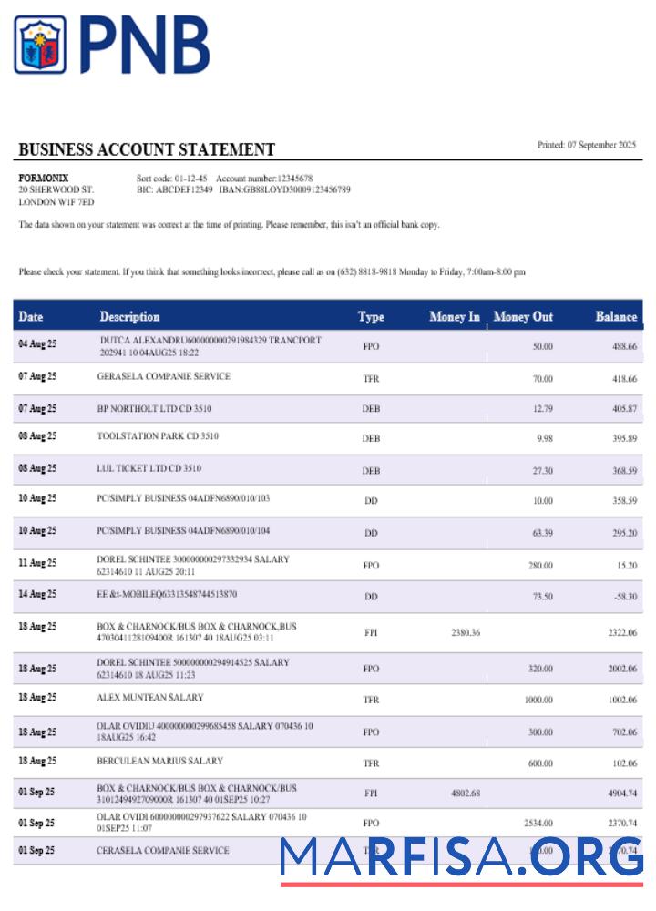 Printable PNB bank business account statement Word and PDF template
